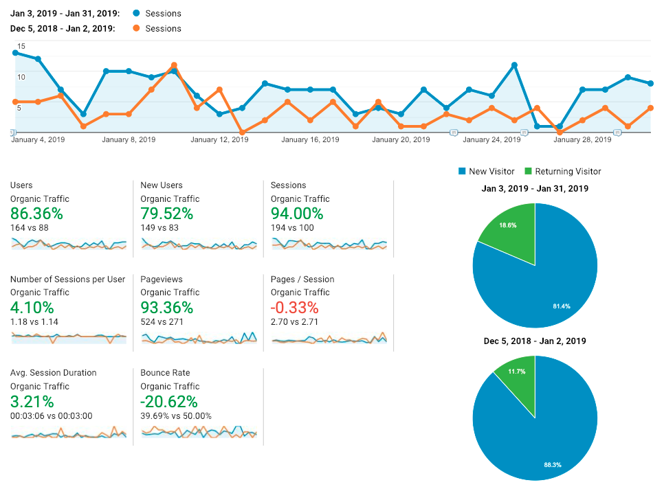 Analytics graph for January 2019 showing a rise in metrics like users, new users, and pageviews.